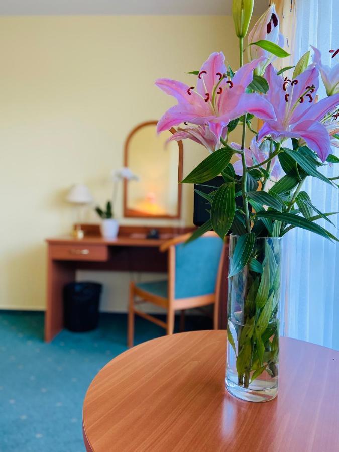 Garni Hotel Pyramida 海布 外观 照片